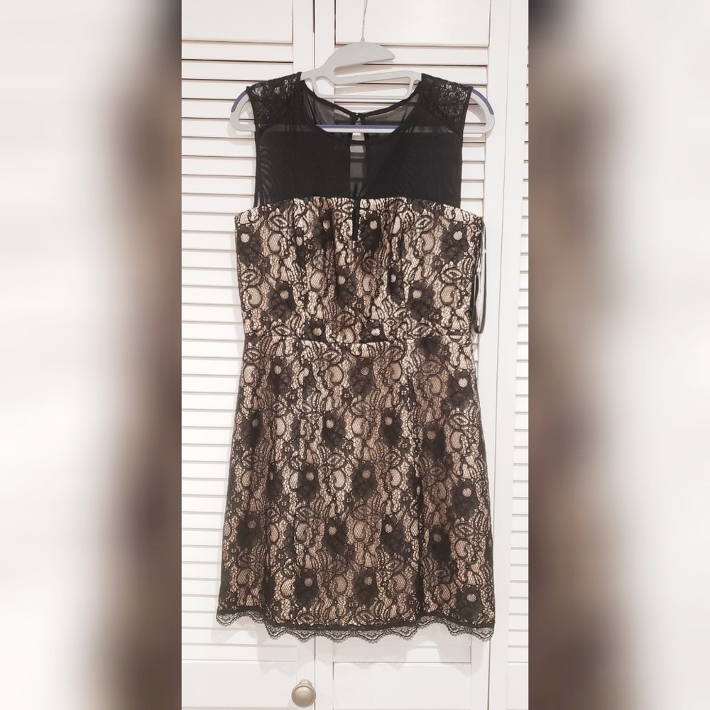 Illusion Neckline Black Champagne Nude Lace Dress
